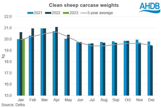 Graph showing clean sheep carcase weights marginally up YOY